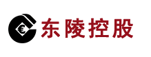 东陵控股 标识